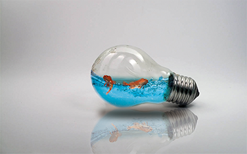 Personal project lamp